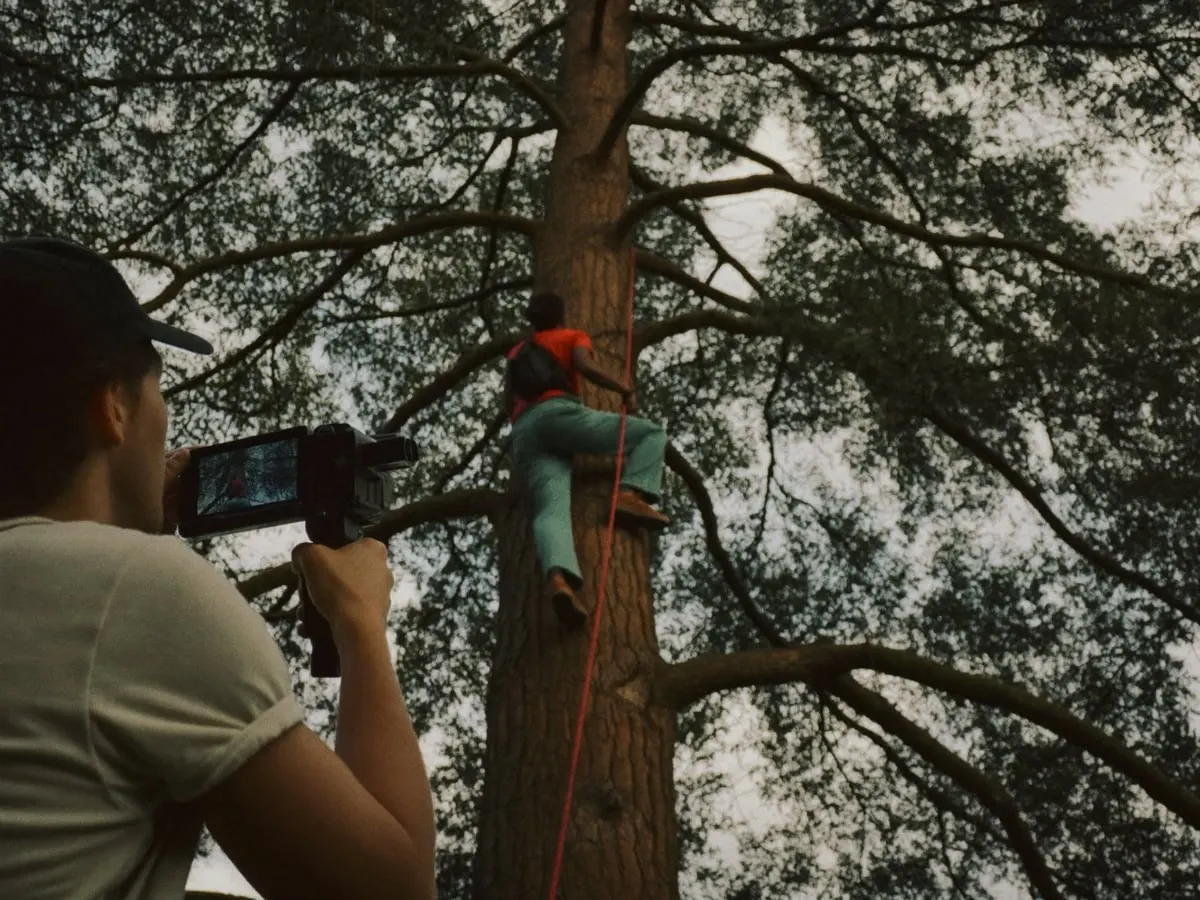 A videographer filming an arborist up a tree